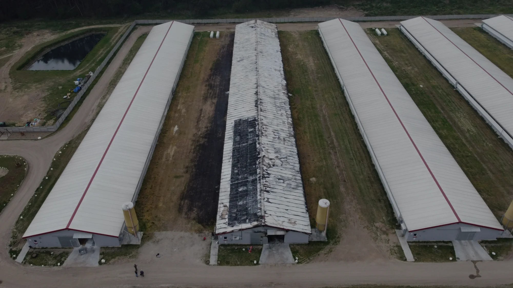 placeholder image-sq