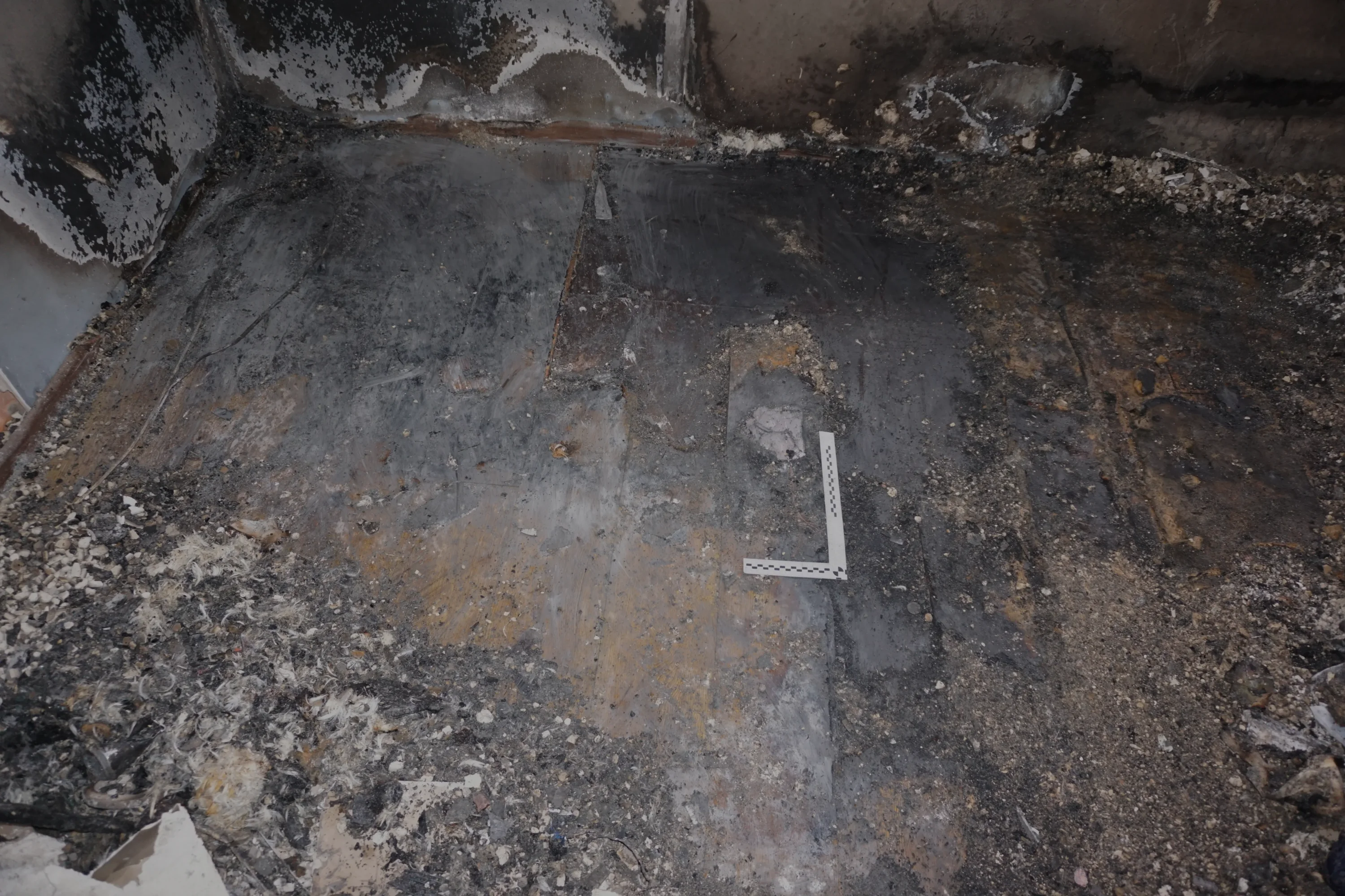 placeholder image-sq