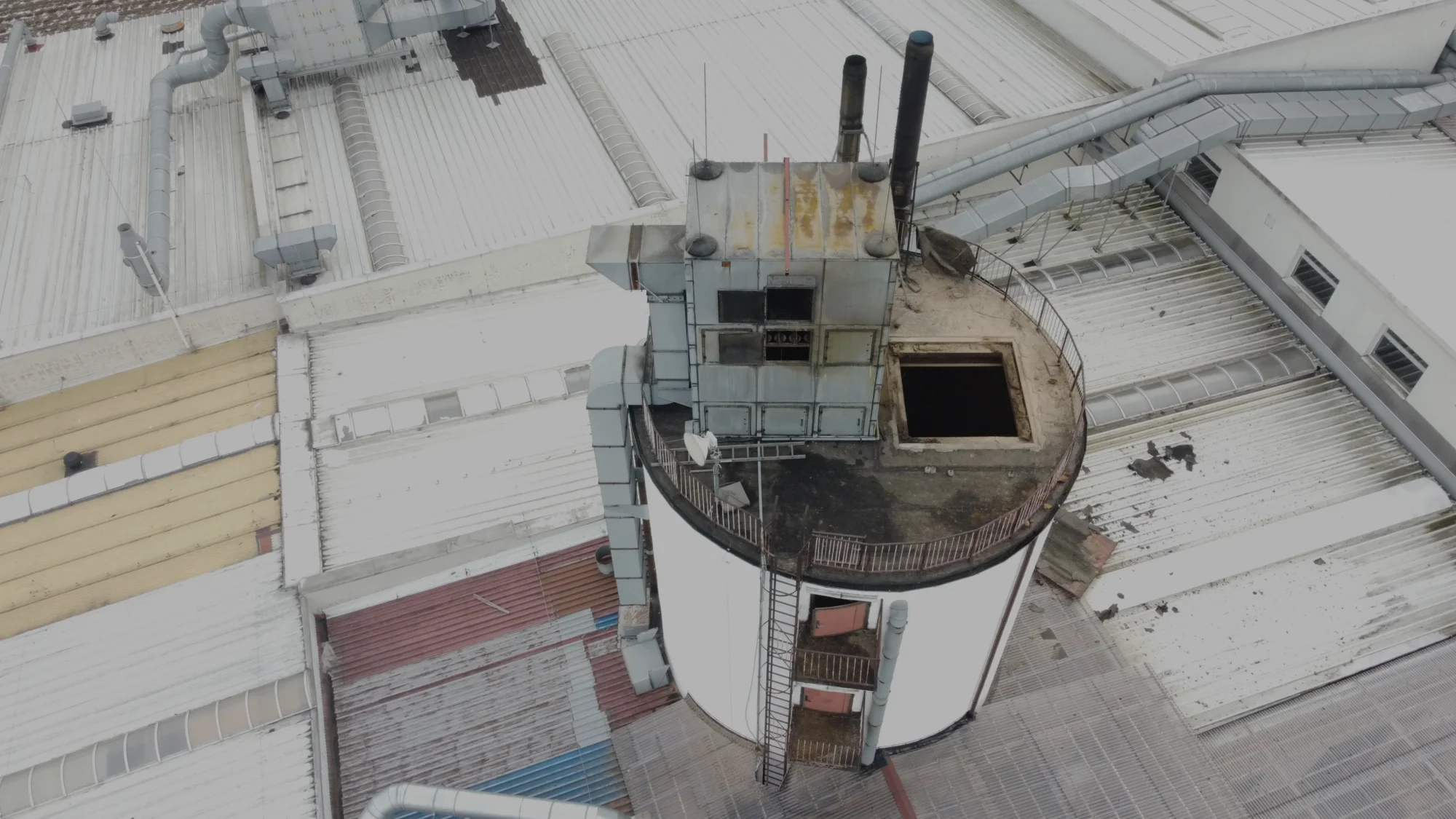 placeholder image-sq